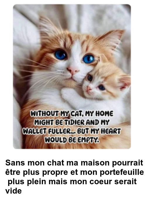 Mon image