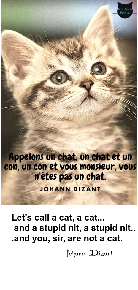 Mon image
