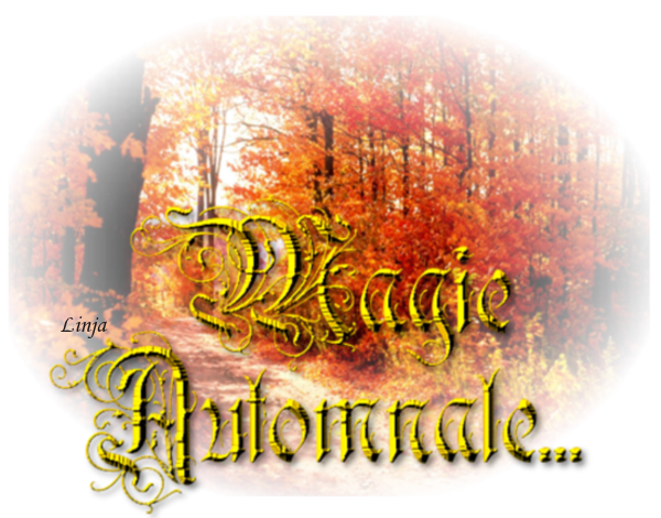 Mon image