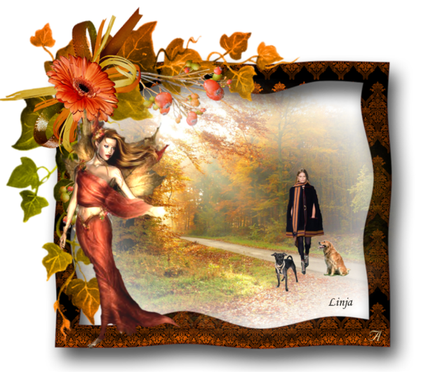 Mon image