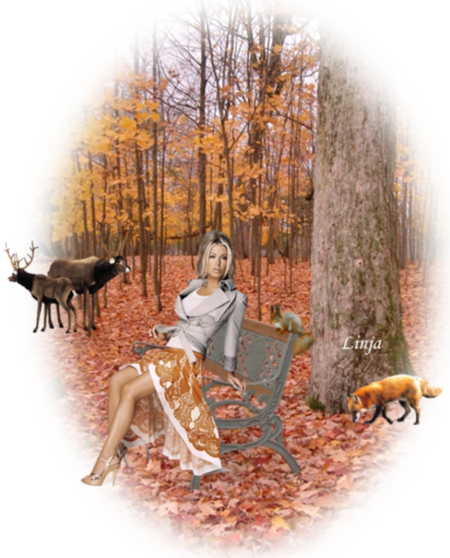 Mon image
