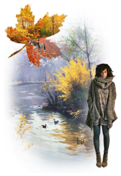 Mon image