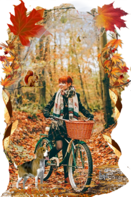 Mon image