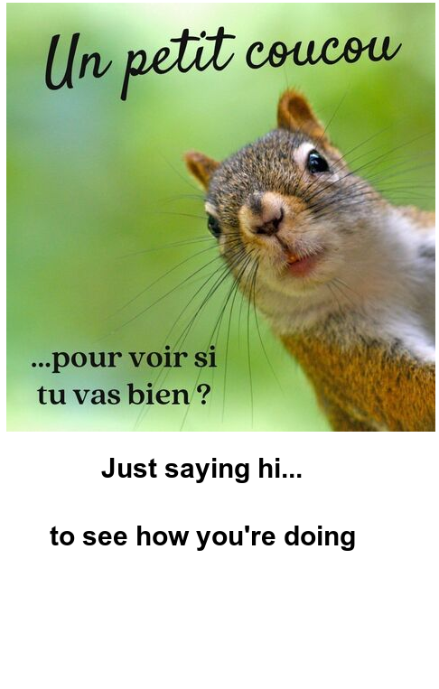 Mon image