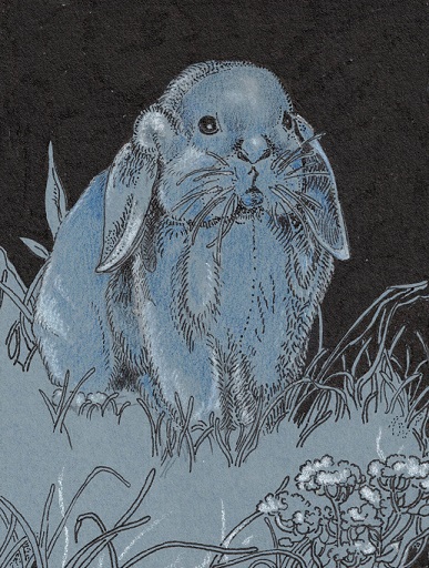 lapin
